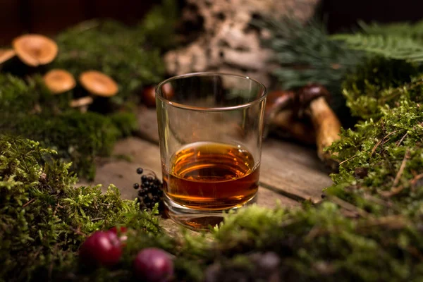 Whiskey Oder Brandy Glas Inmitten Eines Wilden Natürlichen Hintergrunds Aus — Stockfoto