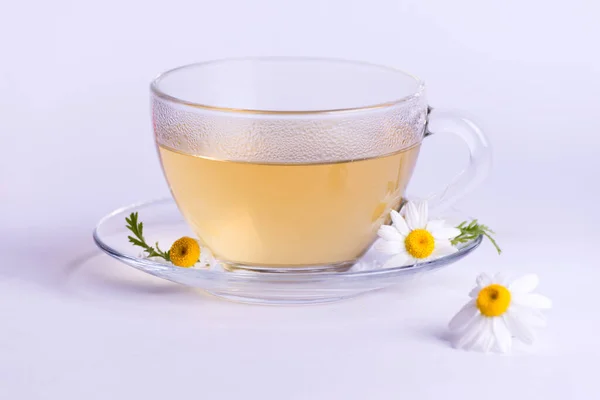 Gass Cup Hot Herbal Tea Chamomile Flowers Light Background — Stock Photo, Image
