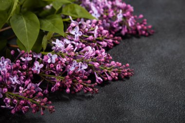 Siyah beton arka planda mor leylak çiçekleri. Şık bir çiçek tebrik kartı. Anneler günün kutlu olsun..