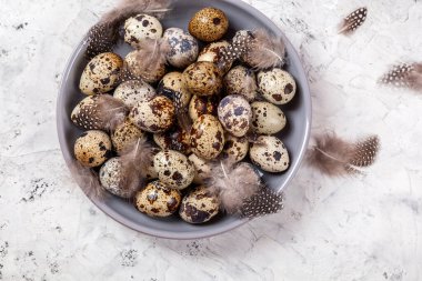 Paskalya bıldırcın yumurtaları gri kumaş kumaş bezi, beton arka plan, yuvarlak seramik plaka. Metin için boşluk