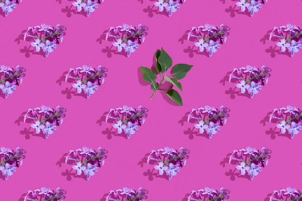 Trendy Isometrisches Nahtloses Durchgehendes Muster Mit Frühlingsfliederblüten Und Grünem Blatt — Stockfoto