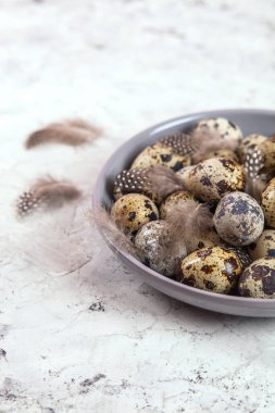 Paskalya bıldırcın yumurtaları gri kumaş kumaş bezi, beton arka plan, yuvarlak seramik plaka. Metin için boşluk