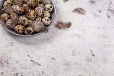 Paskalya bıldırcın yumurtaları gri kumaş kumaş bezi, beton arka plan, yuvarlak seramik plaka. Metin için boşluk