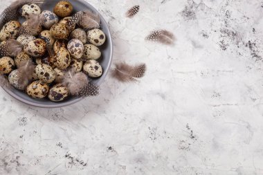 Paskalya bıldırcın yumurtaları gri kumaş kumaş bezi, beton arka plan, yuvarlak seramik plaka. Metin için boşluk
