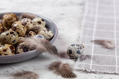 Paskalya bıldırcın yumurtaları gri kumaş kumaş bezi, beton arka plan, yuvarlak seramik plaka. Metin için boşluk