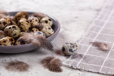 Paskalya bıldırcın yumurtaları gri kumaş kumaş bezi, beton arka plan, yuvarlak seramik plaka. Metin için boşluk