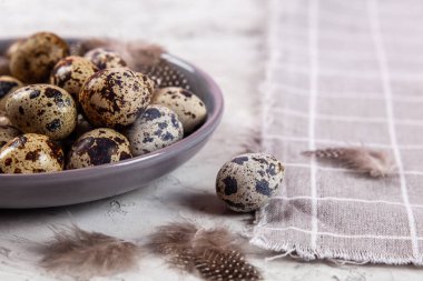 Paskalya bıldırcın yumurtaları gri kumaş kumaş bezi, beton arka plan, yuvarlak seramik plaka. Metin için boşluk