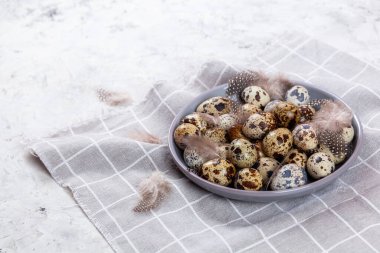 Paskalya bıldırcın yumurtaları gri kumaş kumaş bezi, beton arka plan, yuvarlak seramik plaka. Metin için boşluk