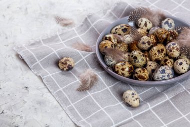 Paskalya bıldırcın yumurtaları gri kumaş kumaş bezi, beton arka plan, yuvarlak seramik plaka. Metin için boşluk