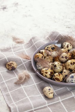 Paskalya bıldırcın yumurtaları gri kumaş kumaş bezi, beton arka plan, yuvarlak seramik plaka. Metin için boşluk