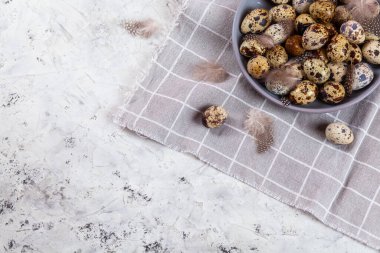 Paskalya bıldırcın yumurtaları gri kumaş kumaş bezi, beton arka plan, yuvarlak seramik plaka. Metin için boşluk