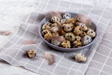 Paskalya bıldırcın yumurtaları gri kumaş kumaş bezi, beton arka plan, yuvarlak seramik plaka. Metin için boşluk