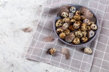 Paskalya bıldırcın yumurtaları gri kumaş kumaş bezi, beton arka plan, yuvarlak seramik plaka. Metin için boşluk
