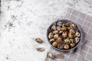 Paskalya bıldırcın yumurtaları gri kumaş kumaş bezi, beton arka plan, yuvarlak seramik plaka. Metin için boşluk
