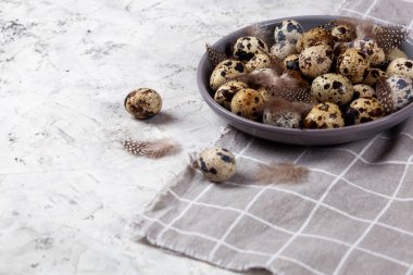 Paskalya bıldırcın yumurtaları gri kumaş kumaş bezi, beton arka plan, yuvarlak seramik plaka. Metin için boşluk