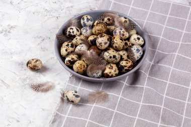 Paskalya bıldırcın yumurtaları gri kumaş kumaş bezi, beton arka plan, yuvarlak seramik plaka. Metin için boşluk