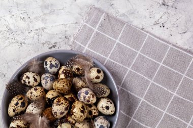 Paskalya bıldırcın yumurtaları gri kumaş kumaş bezi, beton arka plan, yuvarlak seramik plaka. Metin için boşluk