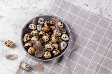 Paskalya bıldırcın yumurtaları gri kumaş kumaş bezi, beton arka plan, yuvarlak seramik plaka. Metin için boşluk