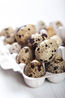 Beyaz arka planda paskalya bıldırcın yumurtaları. Metin için boşluk