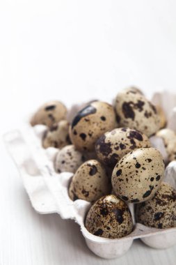 Beyaz arka planda paskalya bıldırcın yumurtaları. Metin için boşluk