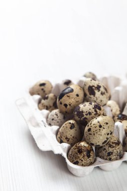 Beyaz arka planda paskalya bıldırcın yumurtaları. Metin için boşluk