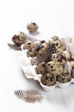 Beyaz arka planda paskalya bıldırcın yumurtaları. Metin için boşluk