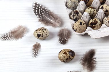 Beyaz arka planda paskalya bıldırcın yumurtaları. Metin için boşluk