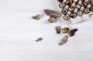 Beyaz arka planda paskalya bıldırcın yumurtaları. Metin için boşluk