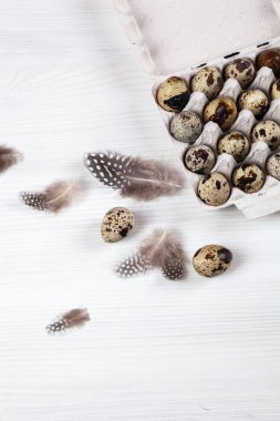 Beyaz arka planda paskalya bıldırcın yumurtaları. Metin için boşluk