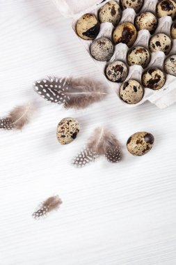 Beyaz arka planda paskalya bıldırcın yumurtaları. Metin için boşluk