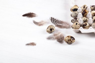 Beyaz arka planda paskalya bıldırcın yumurtaları. Metin için boşluk