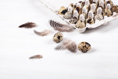 Beyaz arka planda paskalya bıldırcın yumurtaları. Metin için boşluk