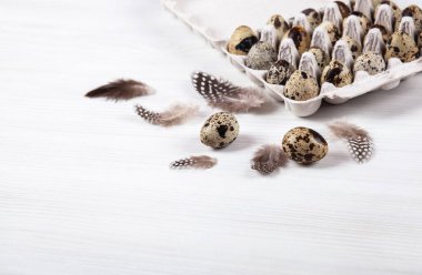 Beyaz arka planda paskalya bıldırcın yumurtaları. Metin için boşluk