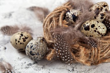 Paskalya bıldırcın yumurtaları parlak arka planda yuvada. Metin için boşluk