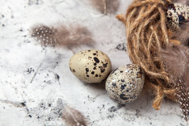 Paskalya bıldırcın yumurtaları parlak arka planda yuvada. Metin için boşluk