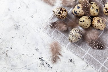 Paskalya bıldırcın yumurtası beyaz beton arka planda gri kumaş bezi. Metin için boşluk