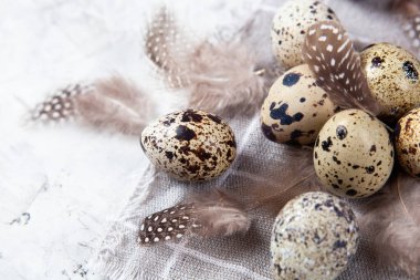 Paskalya bıldırcın yumurtası beyaz beton arka planda gri kumaş bezi. Metin için boşluk