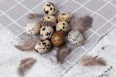 Paskalya bıldırcın yumurtası beyaz beton arka planda gri kumaş bezi. Metin için boşluk