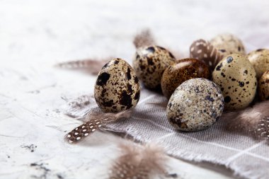 Paskalya bıldırcın yumurtası beyaz beton arka planda gri kumaş bezi. Metin için boşluk