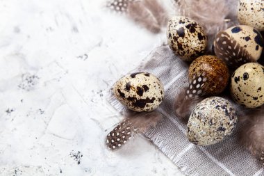 Paskalya bıldırcın yumurtası beyaz beton arka planda gri kumaş bezi. Metin için boşluk