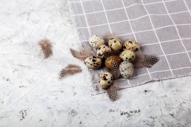 Paskalya bıldırcın yumurtası beyaz beton arka planda gri kumaş bezi. Metin için boşluk