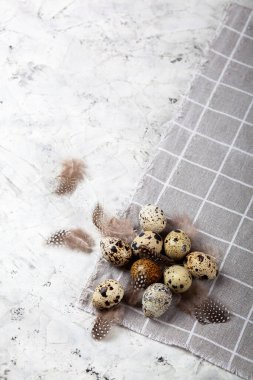 Paskalya bıldırcın yumurtası beyaz beton arka planda gri kumaş bezi. Metin için boşluk