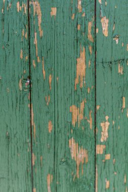 Koyu yeşil çizik grunge ahşap desenli duvar. Kabuğu soyulmuş eski ahşap bir doku..