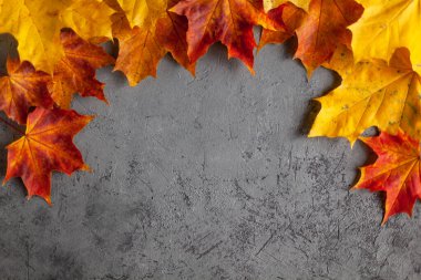 Rengarenk mermer yaprakların gri beton duvardaki minimum bileşiminden oluşmuş desen. Frame Autumn konseptini kapat. Metin için düz metin kopyalama alanı.