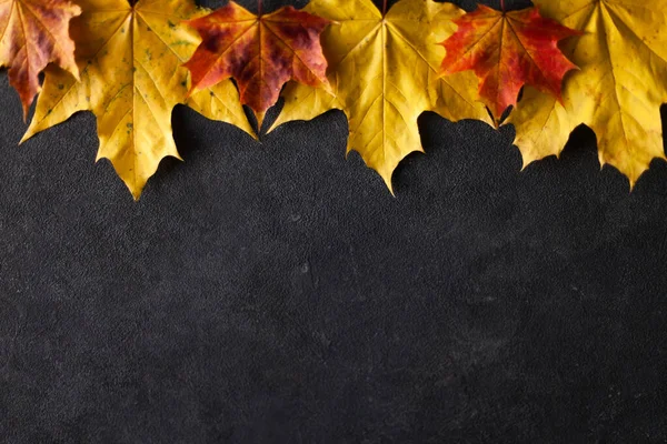 Rengarenk mermer yaprakların gri beton duvardaki minimum bileşiminden oluşmuş desen. Frame Autumn konseptini kapat. Metin için düz metin kopyalama alanı.