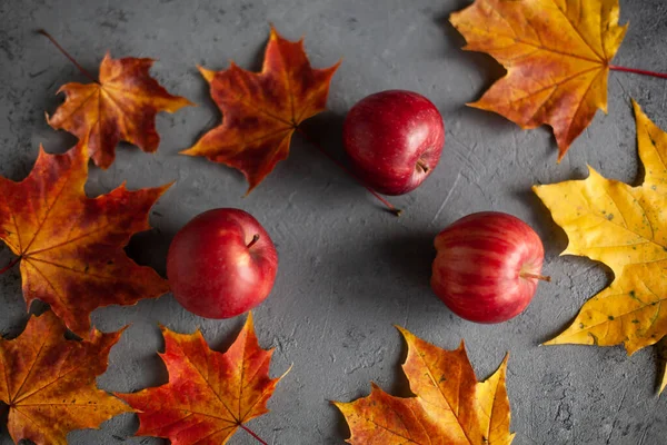 Autumn Marple Leaves Ripe Garden Red Apples Gray Concrete Fruits — Stock Photo, Image