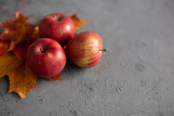 Autumn Marple Leaves Ripe Garden Red Apples Gray Concrete Fruits — Stock Photo, Image