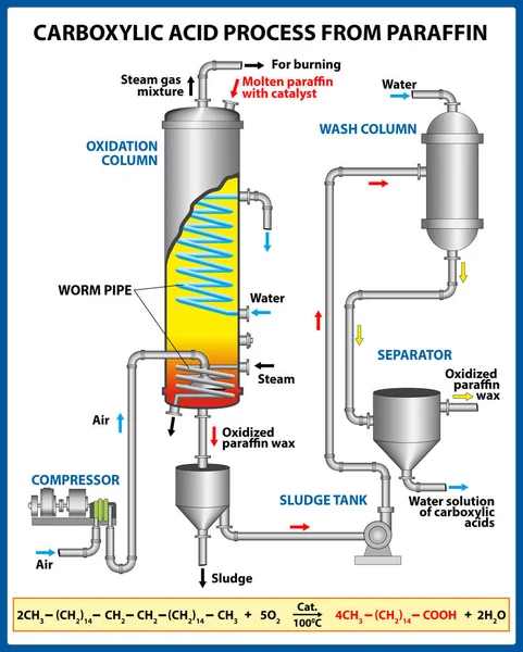 パラフィンからカルボン酸プロセス。ベクトル図 — ストックベクタ
