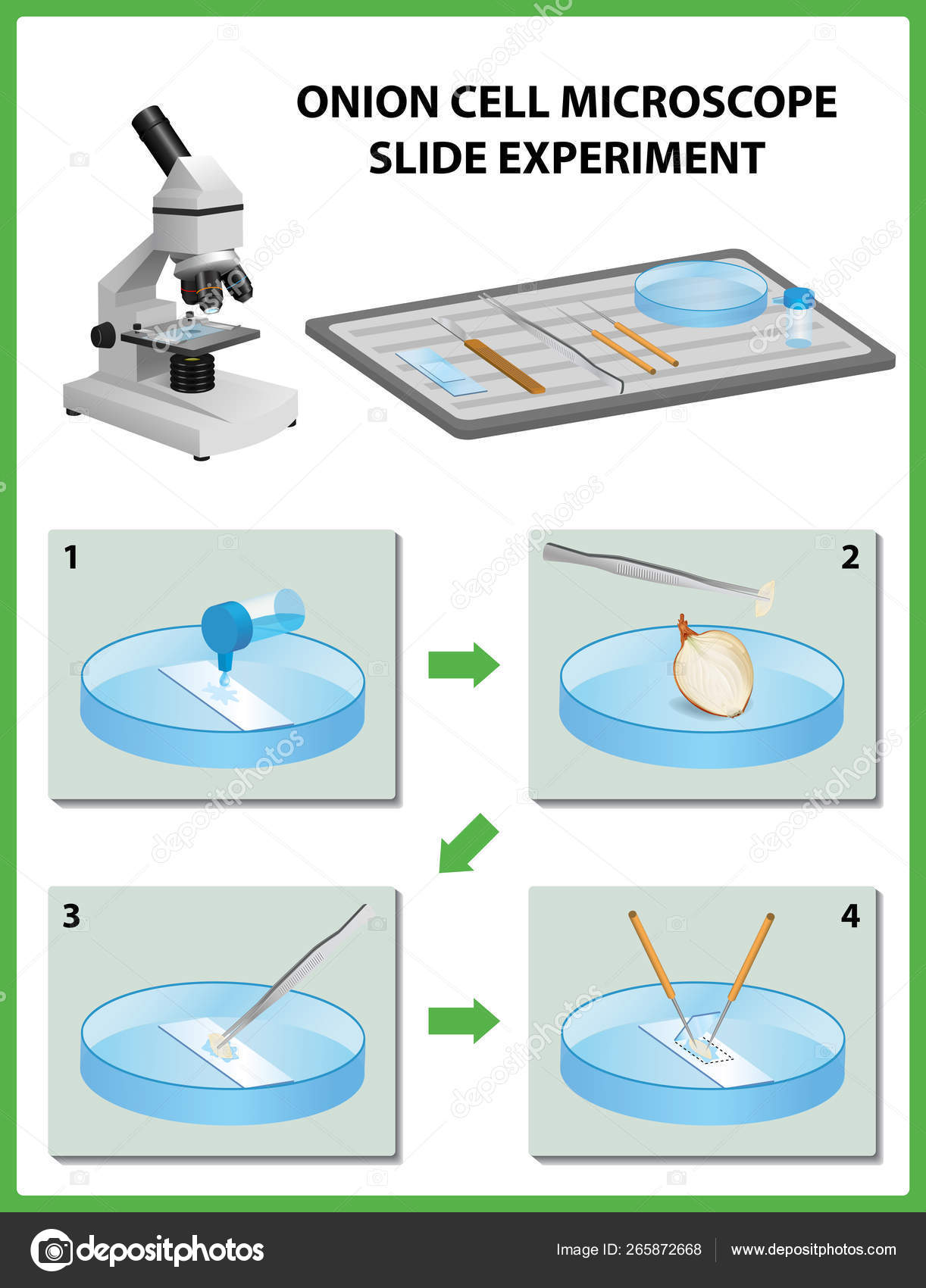 Microscope Slide Clipart