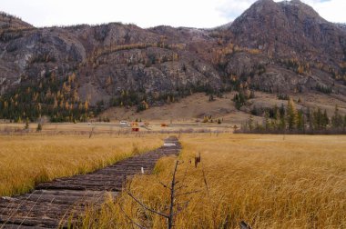 Güzel manzara yolda geri şofben Gölü altay bölgesi, Rusya Federasyonu.
